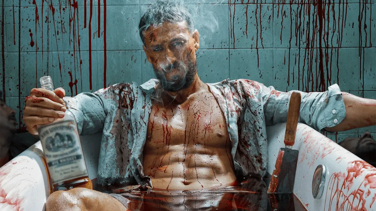 Baaghi 4 Box Office Collection