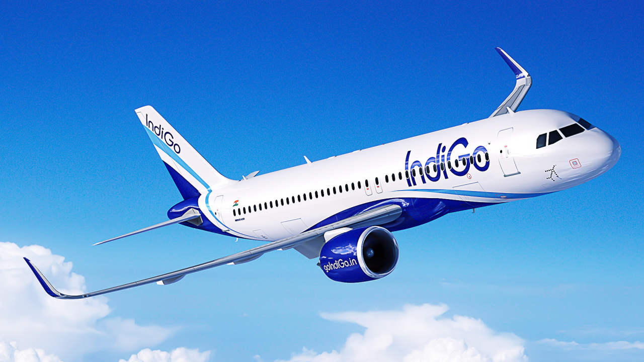 Indigo Travel Advisory