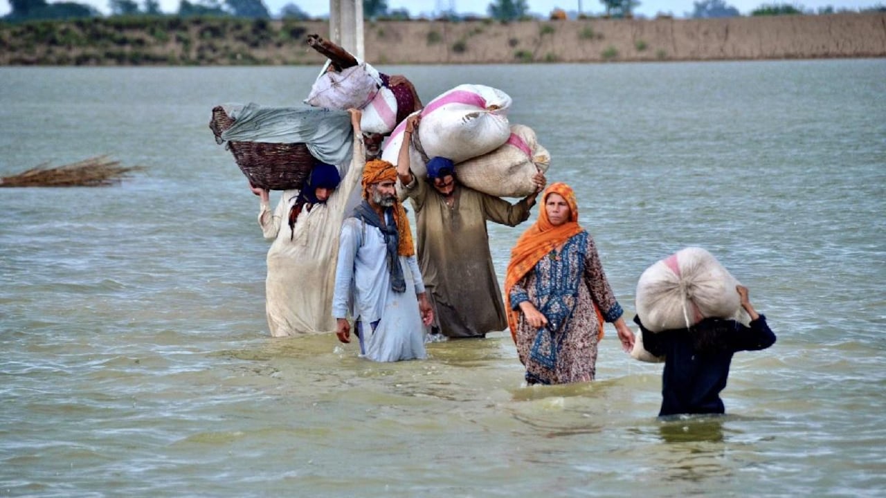 Pakistan Flood News