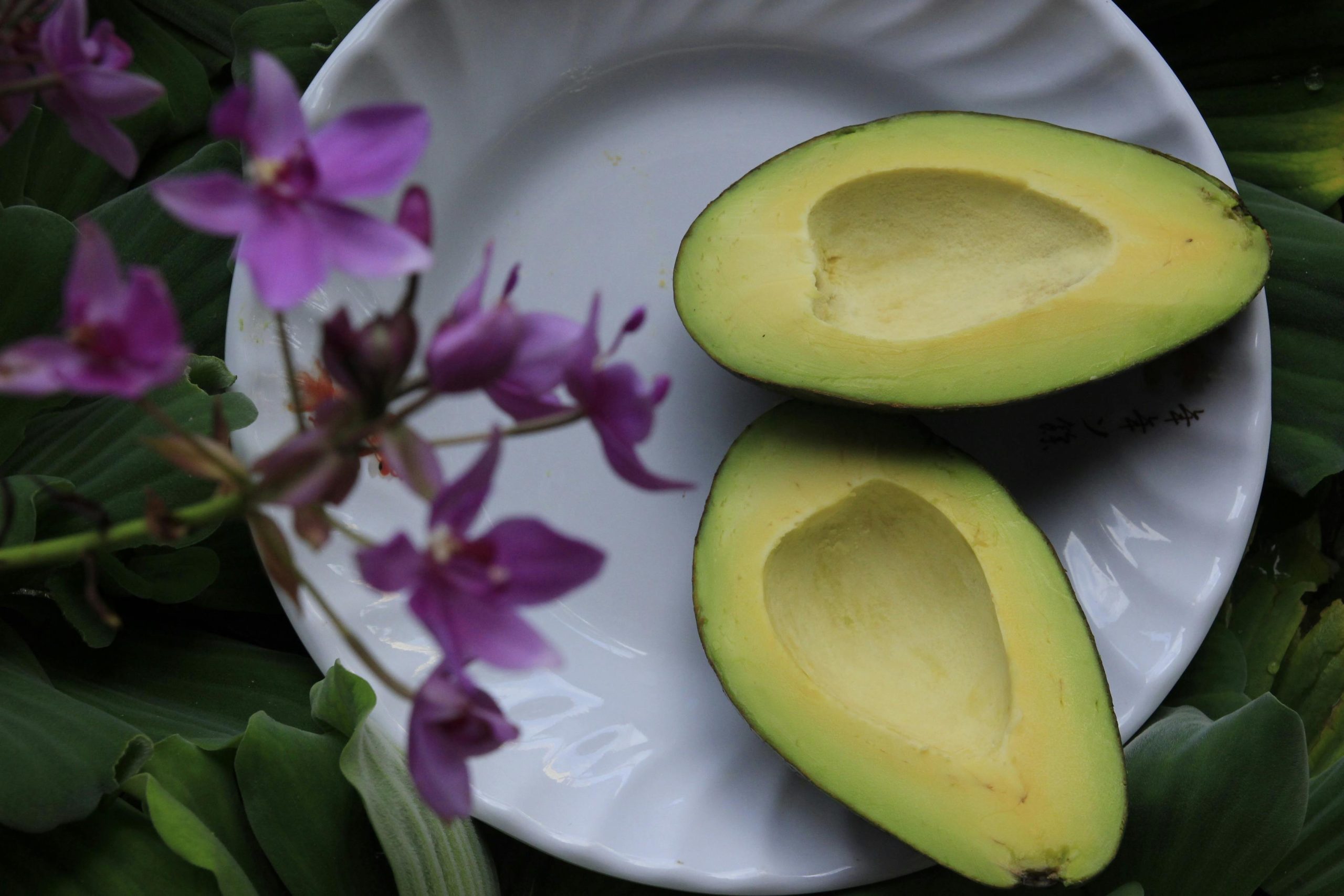 Cheap Nutrition Sources for Healthy Body