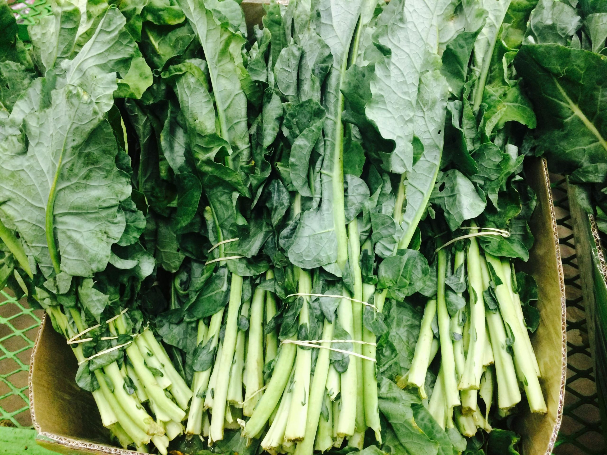 Cheap Nutrition Sources for Healthy Body