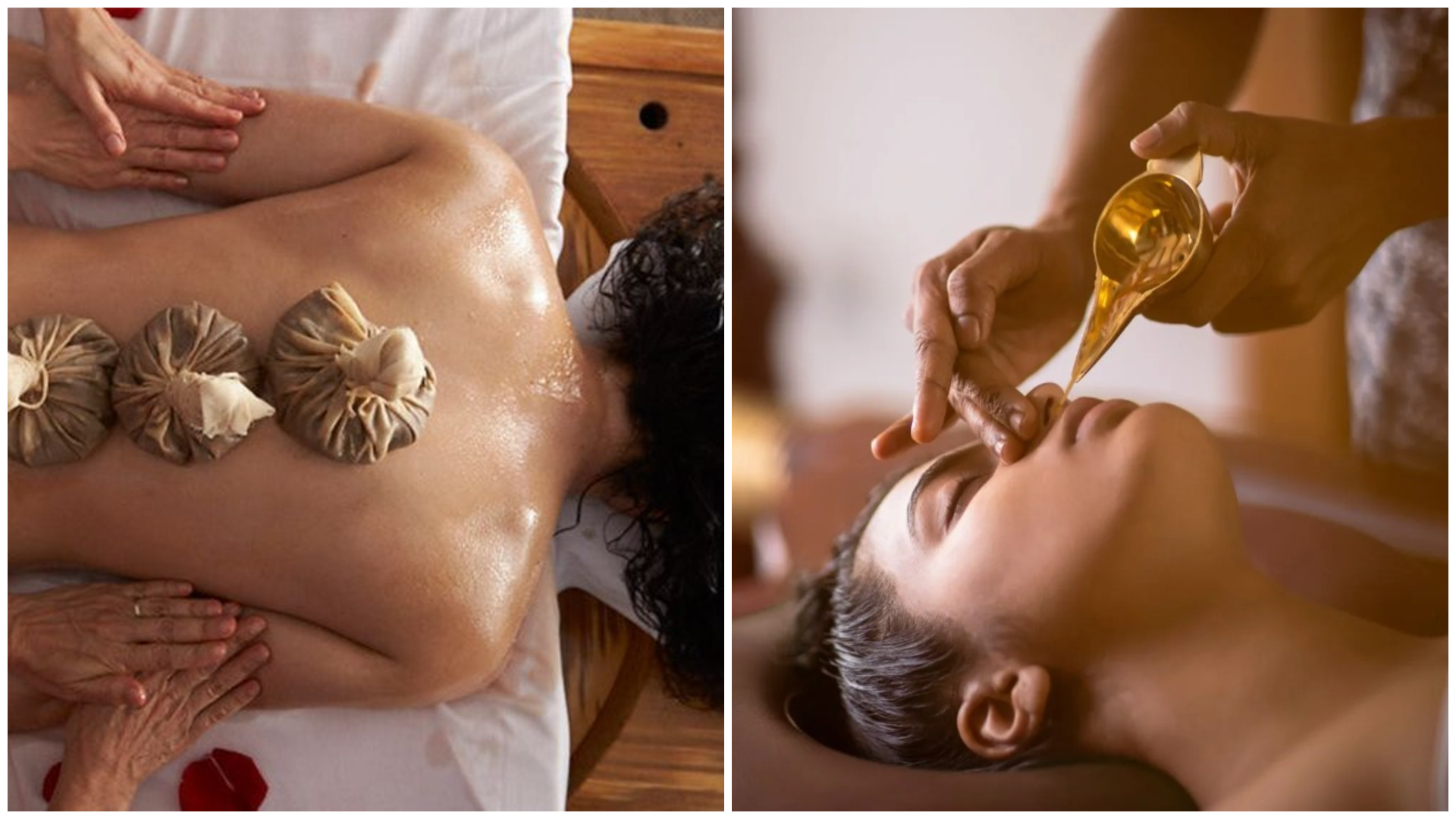 Nepal Herbs and Ayurveda