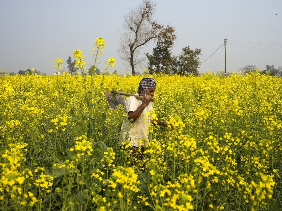 PM kisan Yojana 