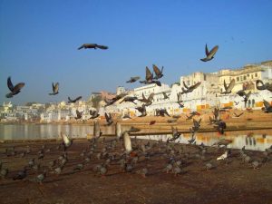  Top 5 Cheapest Places to Visit in India
