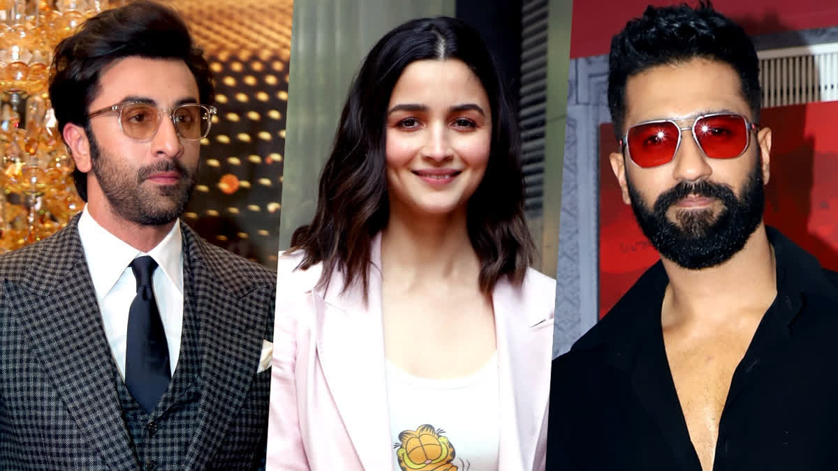 Alia Bhatt Love & War- Source : Social Media
