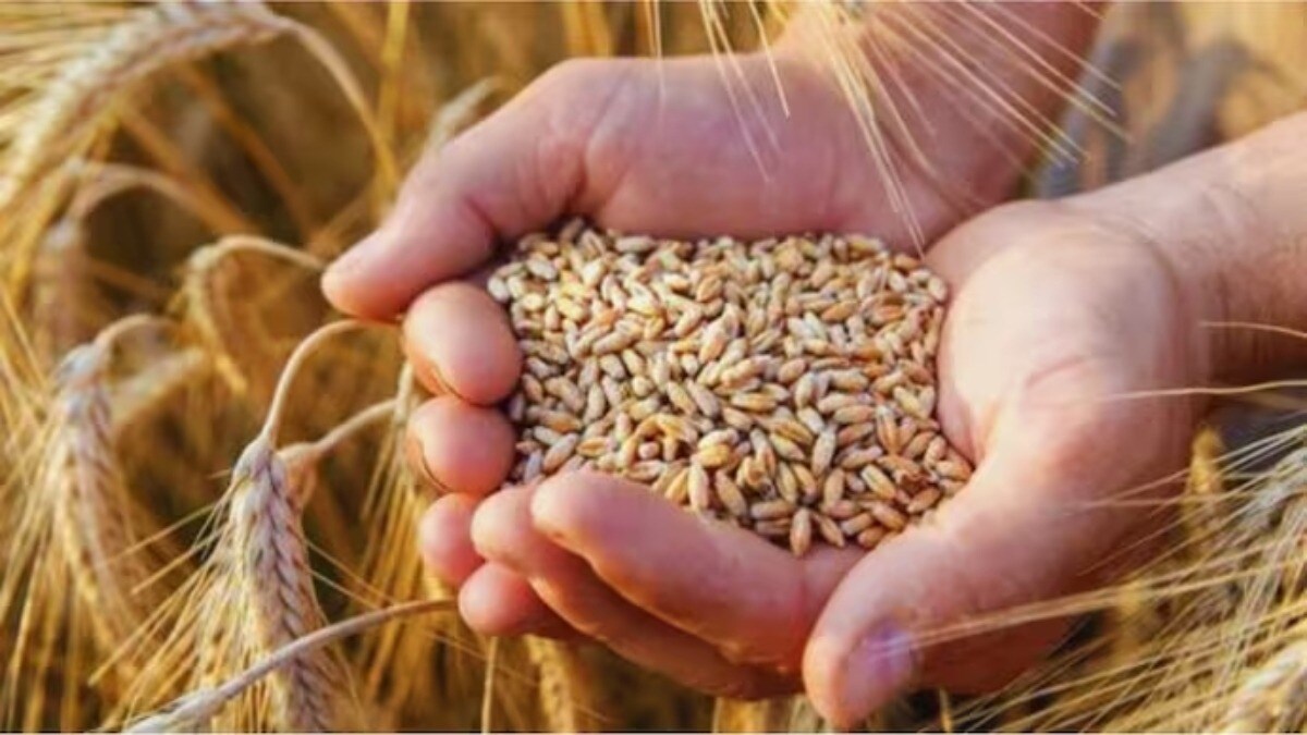 Rabi Crops MSP Hike