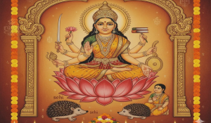 Ahoi Ashtami Katha in Hindi