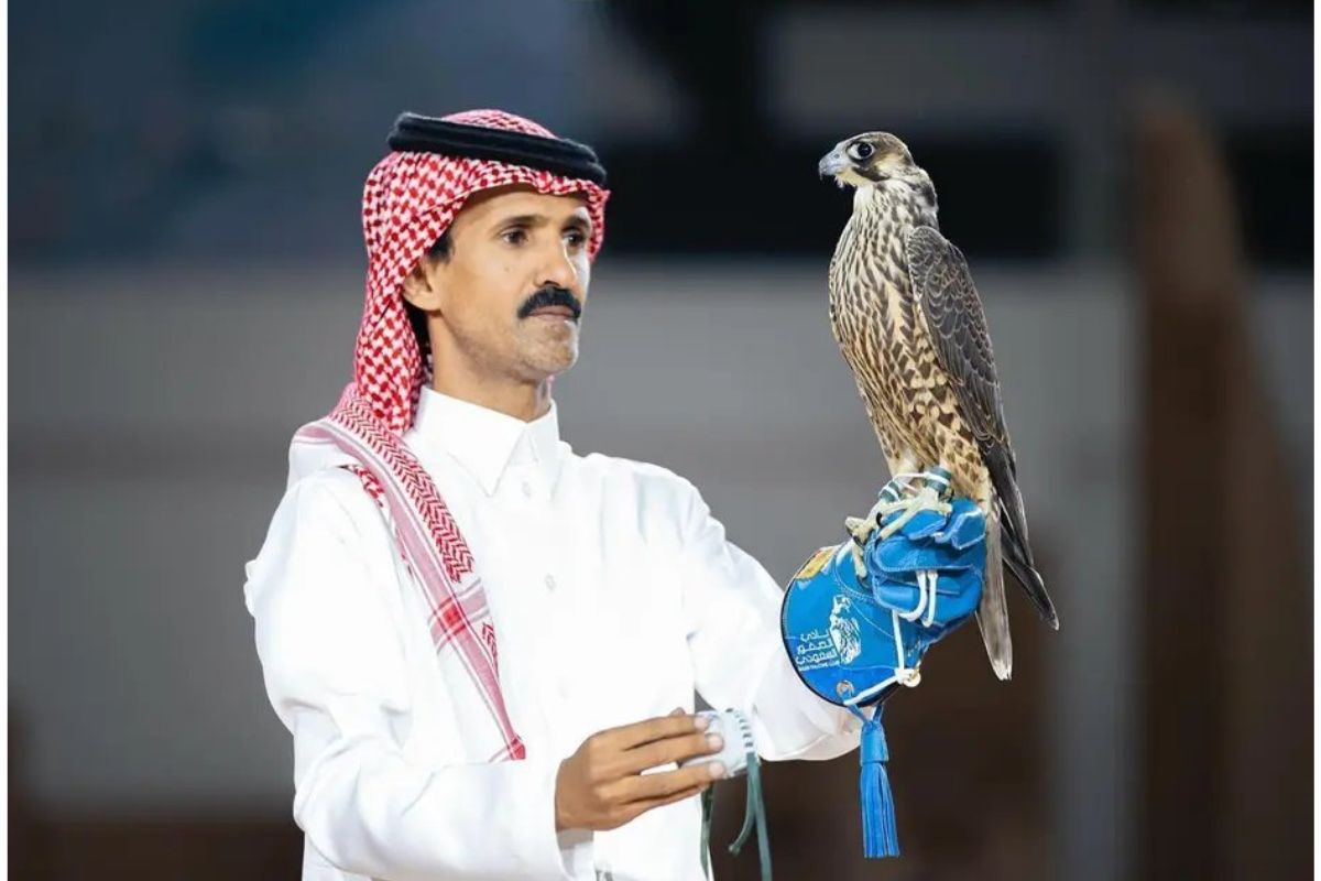 Mongolian Falcon