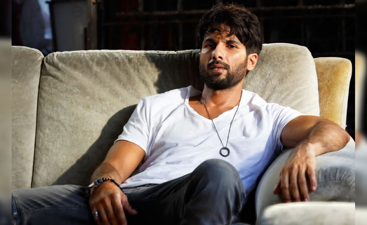 Shahid Kapoor Fees- Source : Social Media
