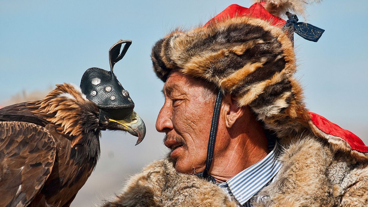 Mongolian Falcon