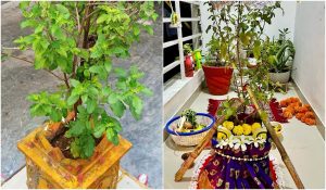 Tulsi Vivah 2025 Date