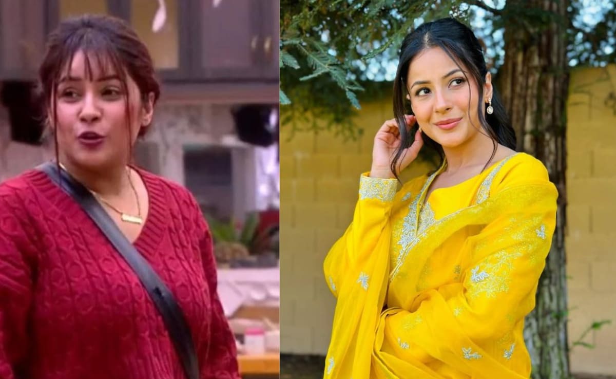 Shehnaaz Gill-Source : Social Media