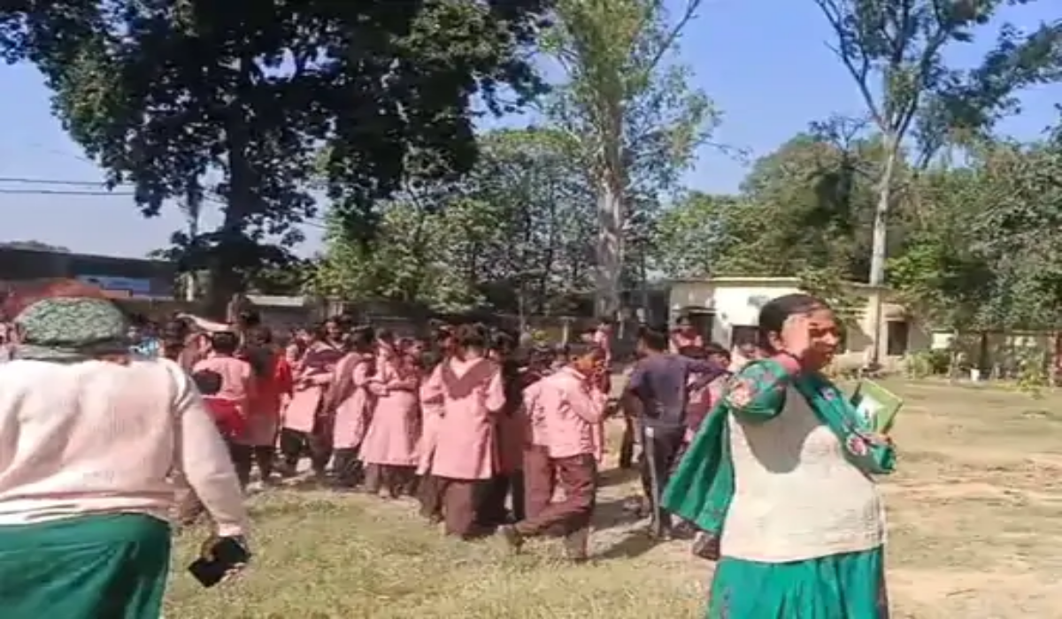 Bijnor School Snake News