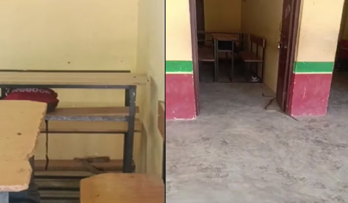 Bijnor School Snake News