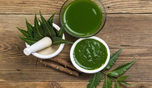 Benefits of Eating Neem Leaves