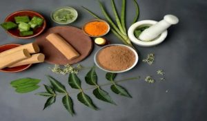 Benefits of Eating Neem Leaves 