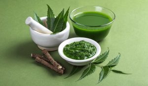 Benefits of Eating Neem Leaves 