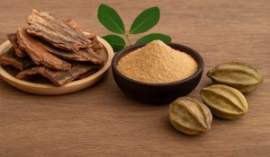 Arjun ki chaal Ayurvedic benefits
