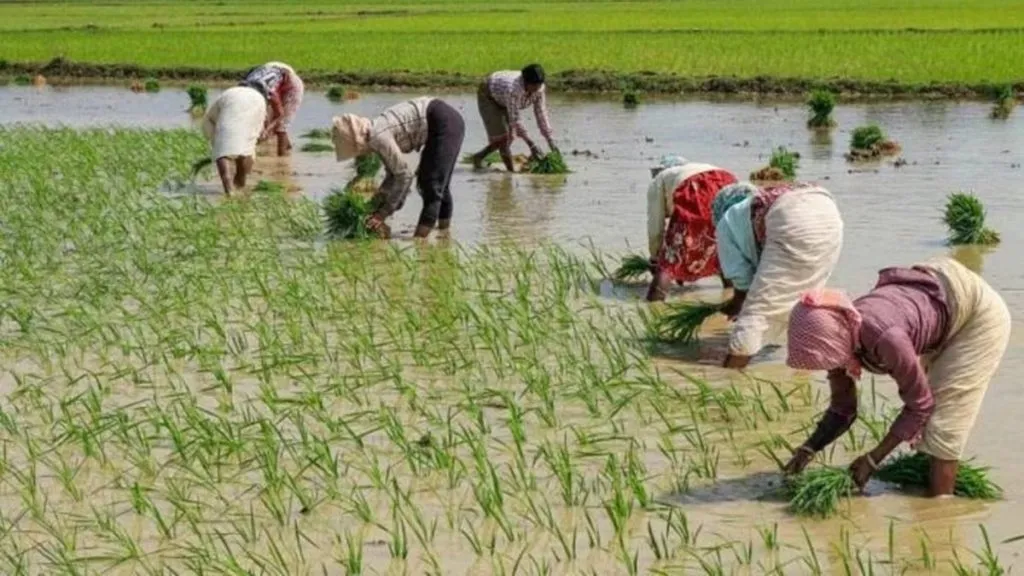 PM Kisan Yojana 22nd Installment Date