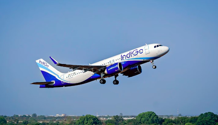 Indigo Airlines ( Source- Social Media)