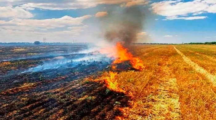 Delhi Air Pollution (Source: Social Media)