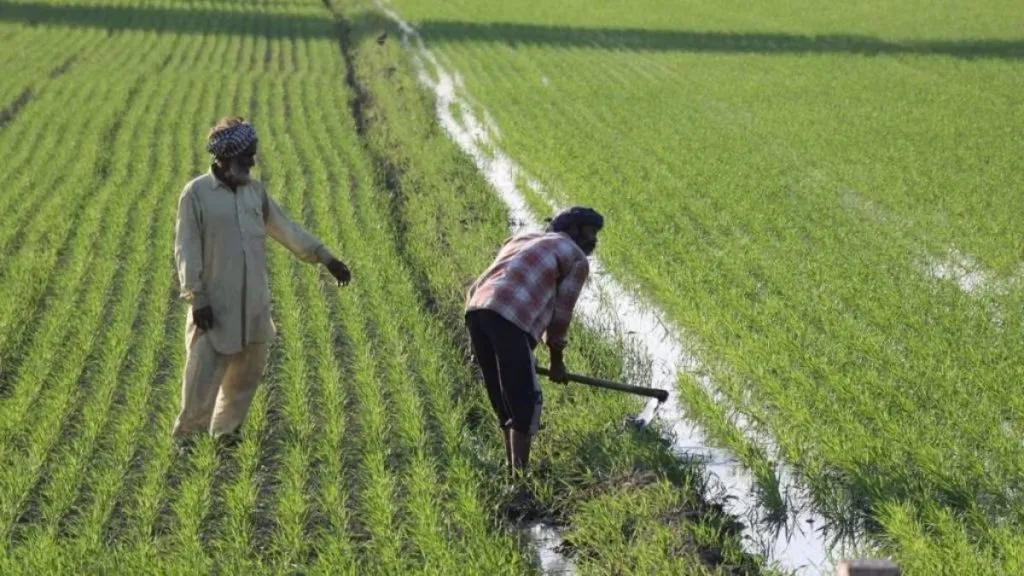 Maharashtra Namo Shetkari Yojana