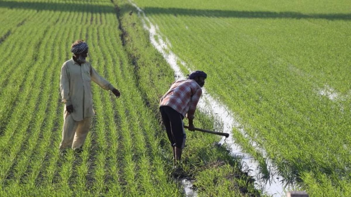 PM Fasal Bima Yojana Eligibility