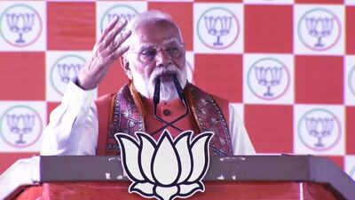 PM Modi speech Bihar election