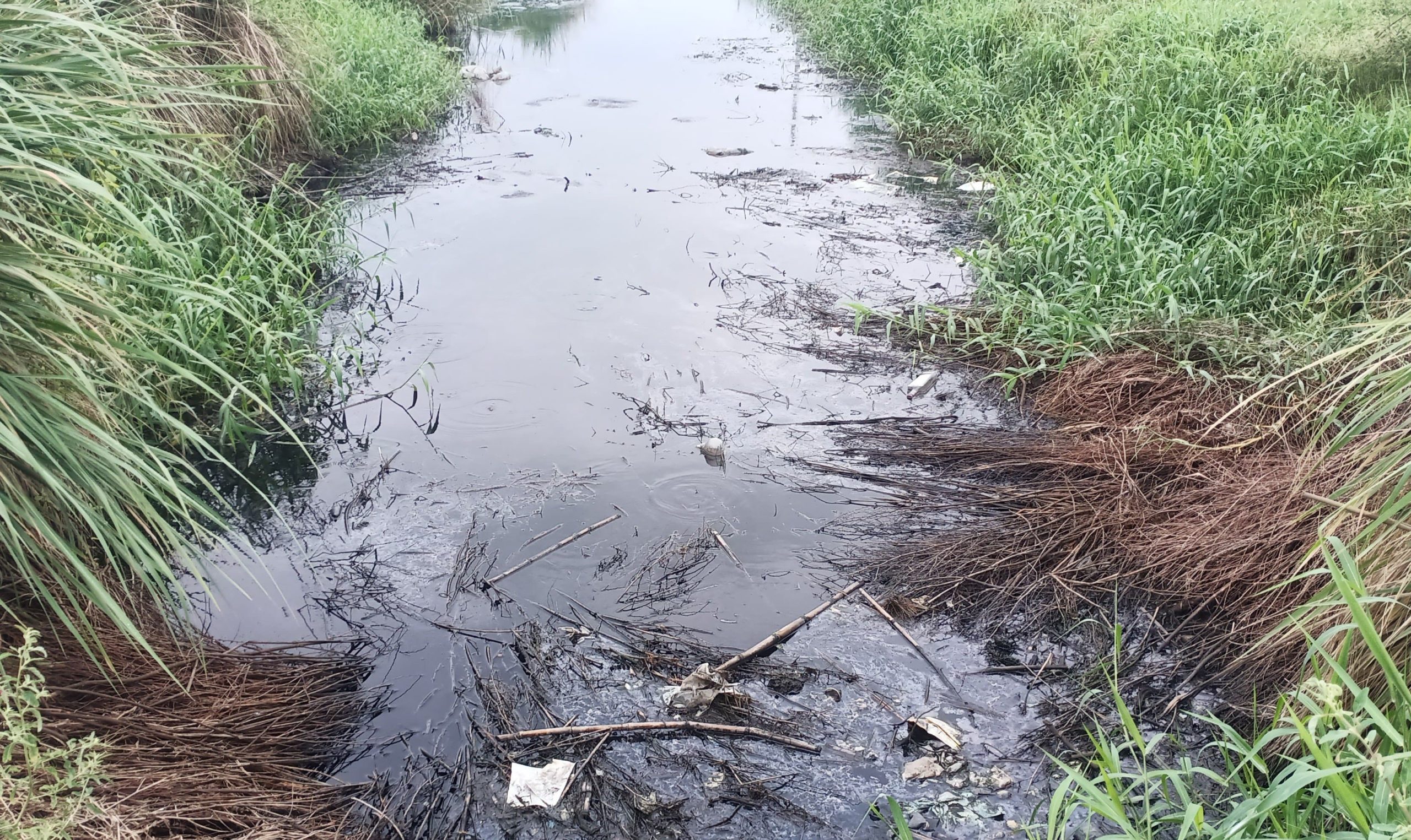 नाले के पास खड़ा होना मुश्किल