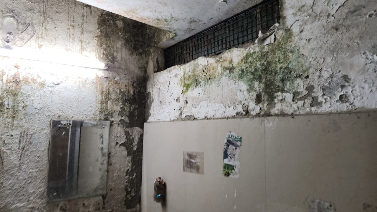 Punjab University News