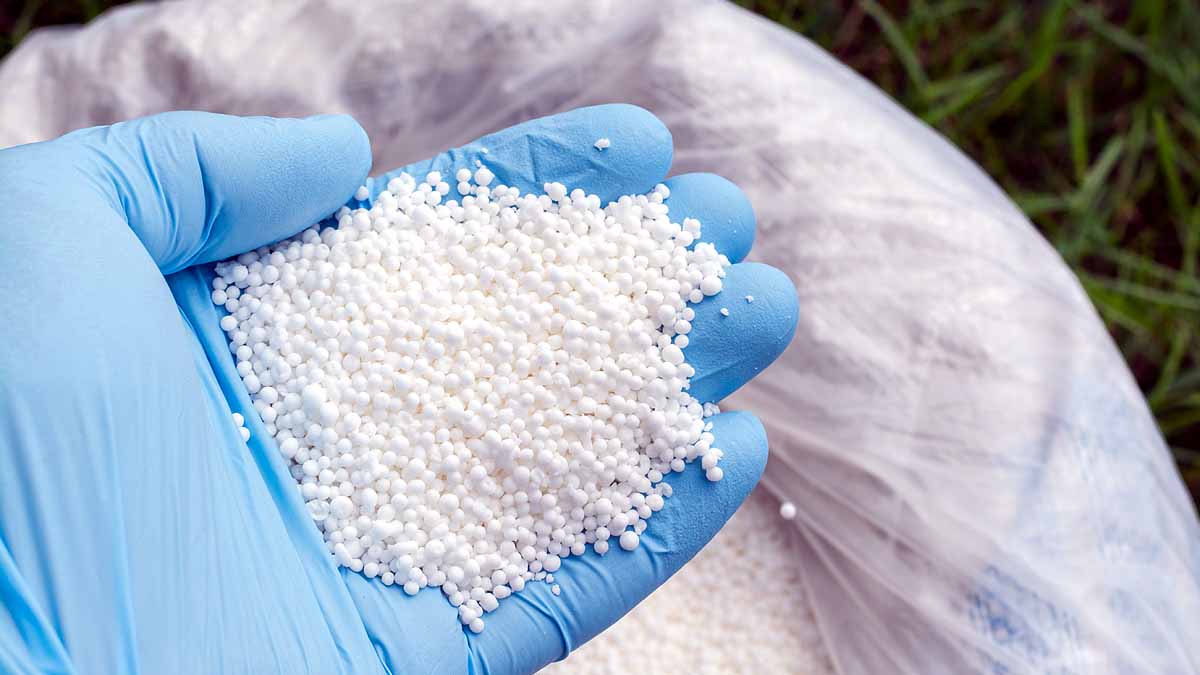 Faridabad RDX (credit-sm)