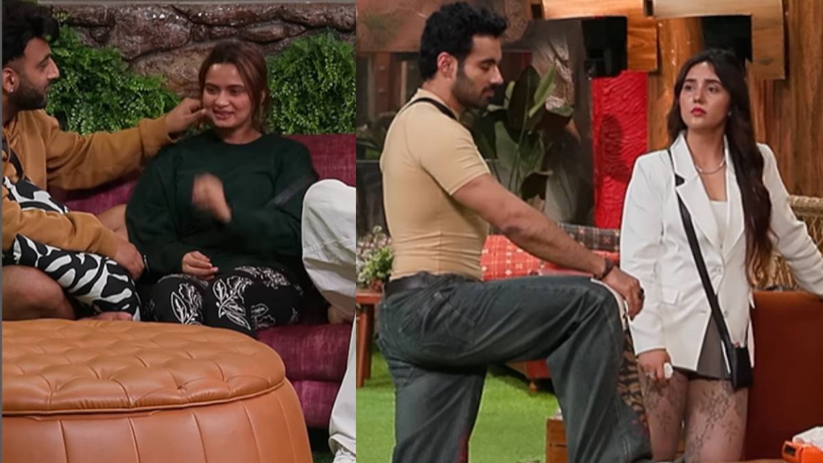 Bigg Boss 19 Double Eviction( Source: Social Media)