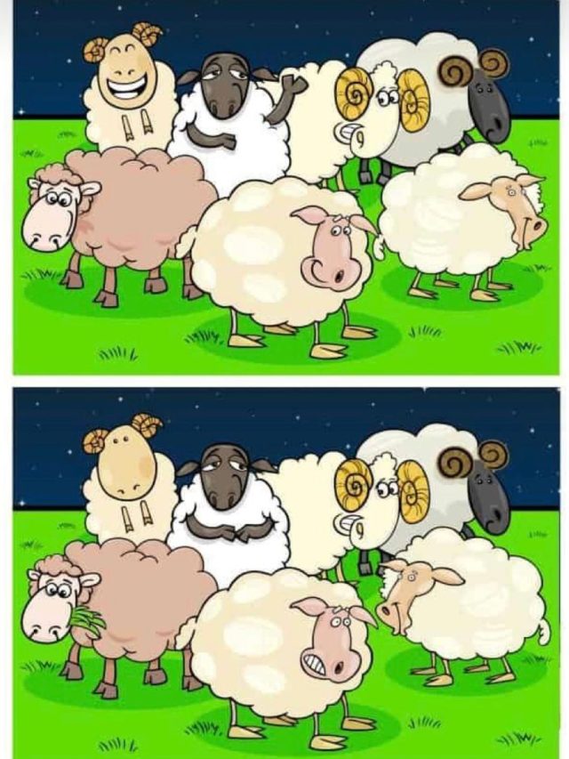 optical illusion  इस तस्वीर में छिपी हैं 5 गलतियां  खुद को genius समझते हैं तो 8 सेकंड में ढूंढकर दिखाएं