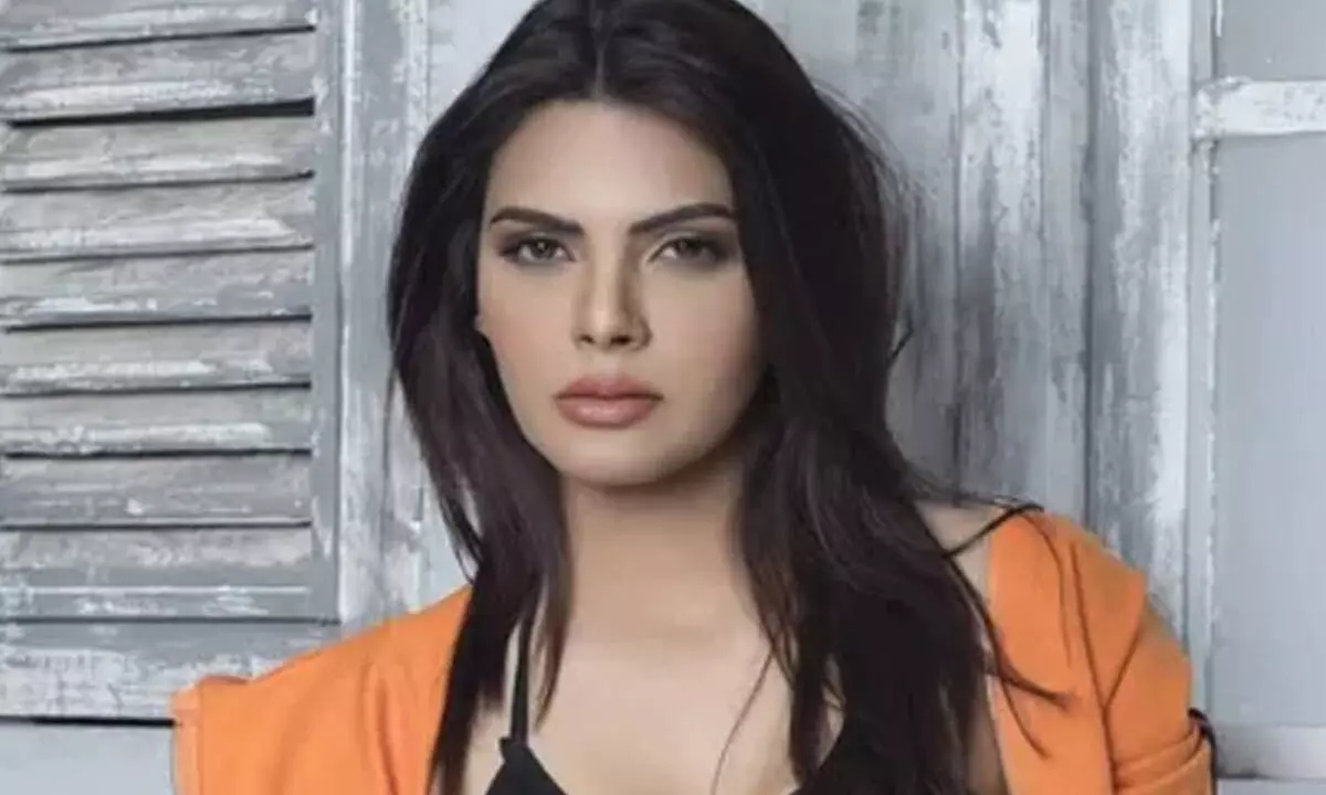 Sherlin chopra breast implant News