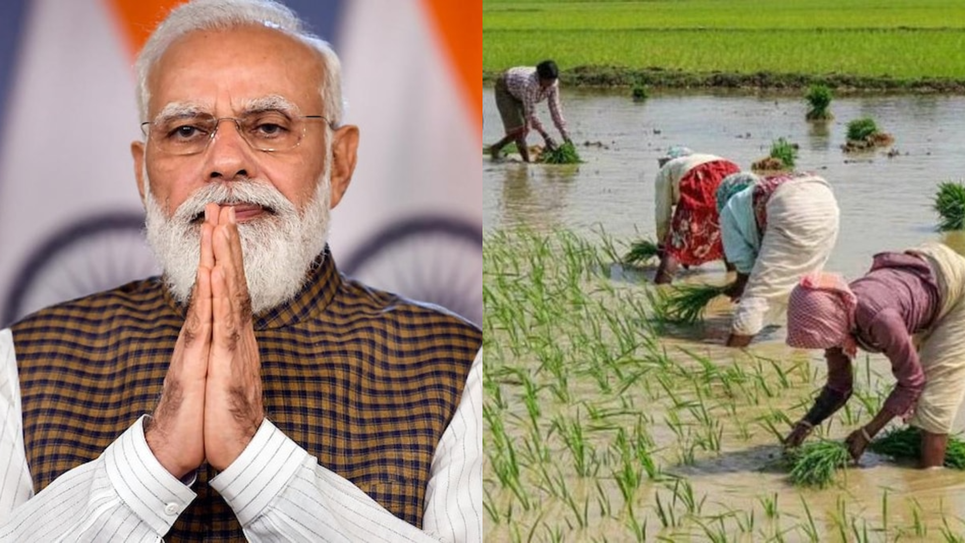 PM Fasal Bima Yojana Eligibility