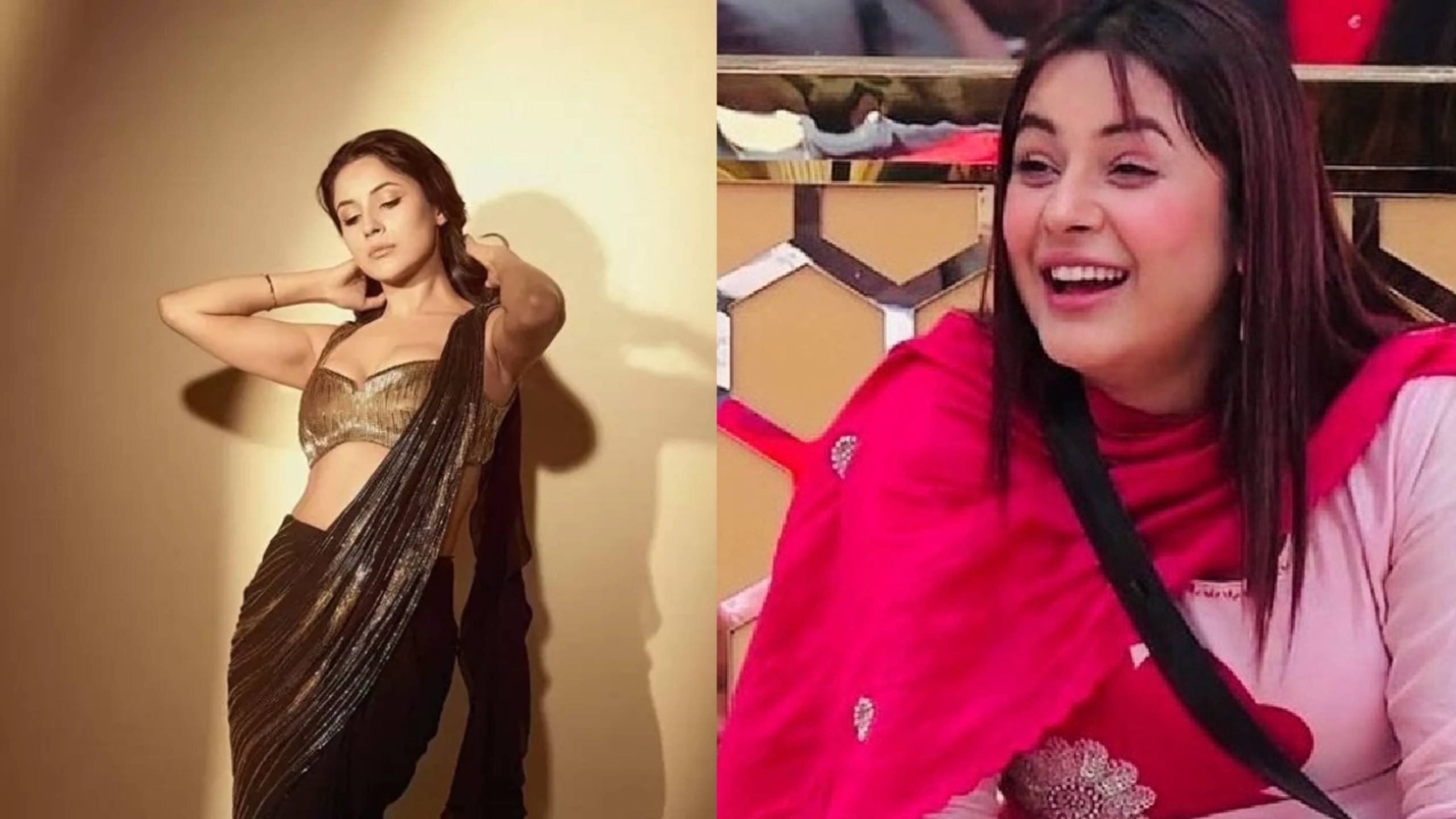 Shehnaaz Gill-Source : Social Media