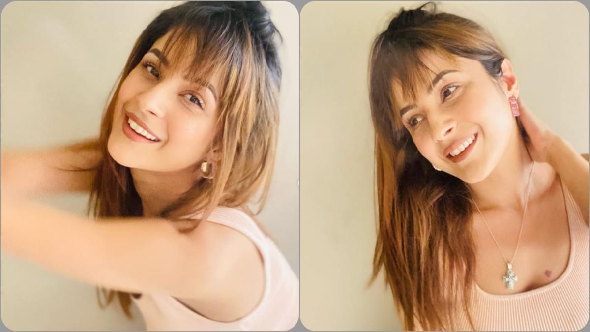 Shehnaaz Gill-Source : Social Media