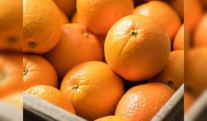 Weight Loss Tips in winter