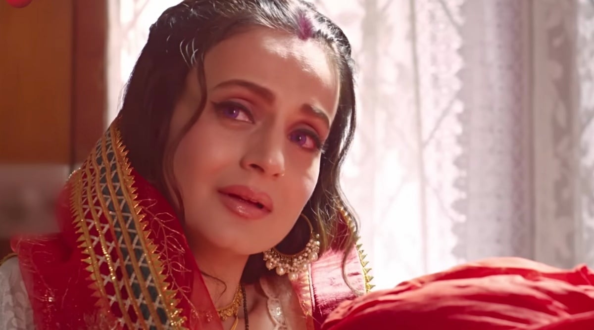 Ameesha Patel Net Worth - Source : Social Media 