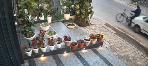 Gurugram Businessman Hit By Car