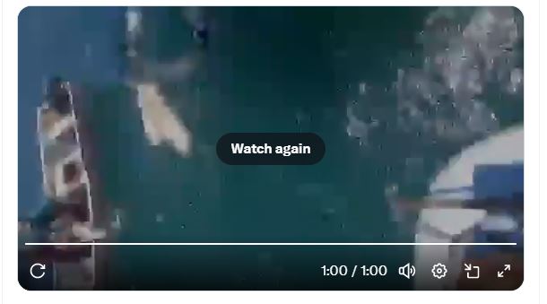 Ship Loaded With Sheep Viral Video