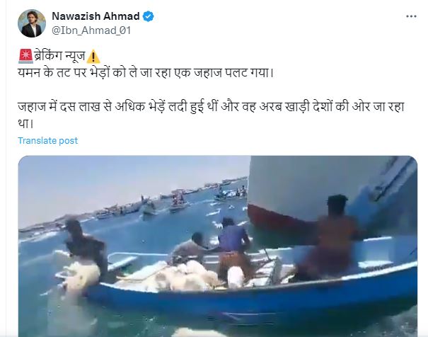 Ship Loaded With Sheep Viral Video