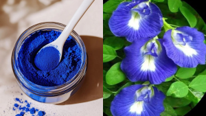 skin-friendly colours