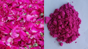 Organic Colors for Holi