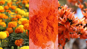 Natural Holi Colours for Skin