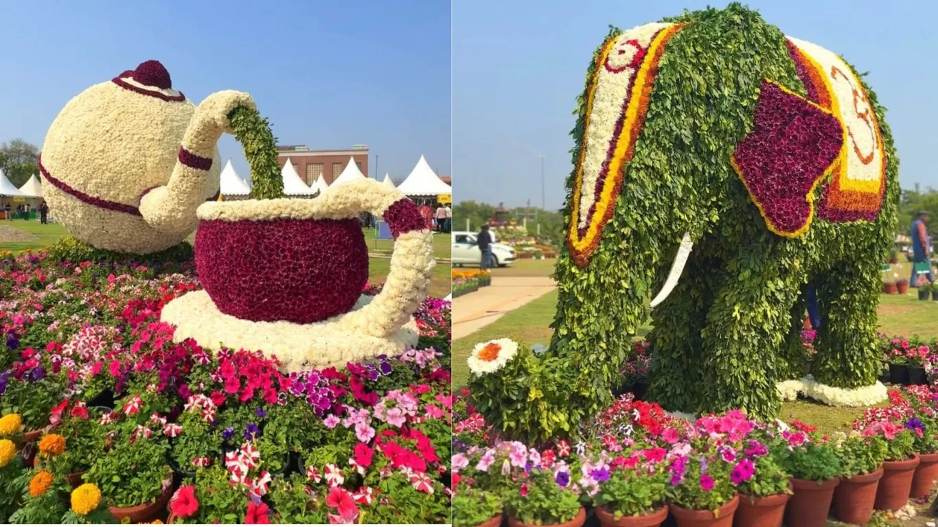 Flower Festival Loot