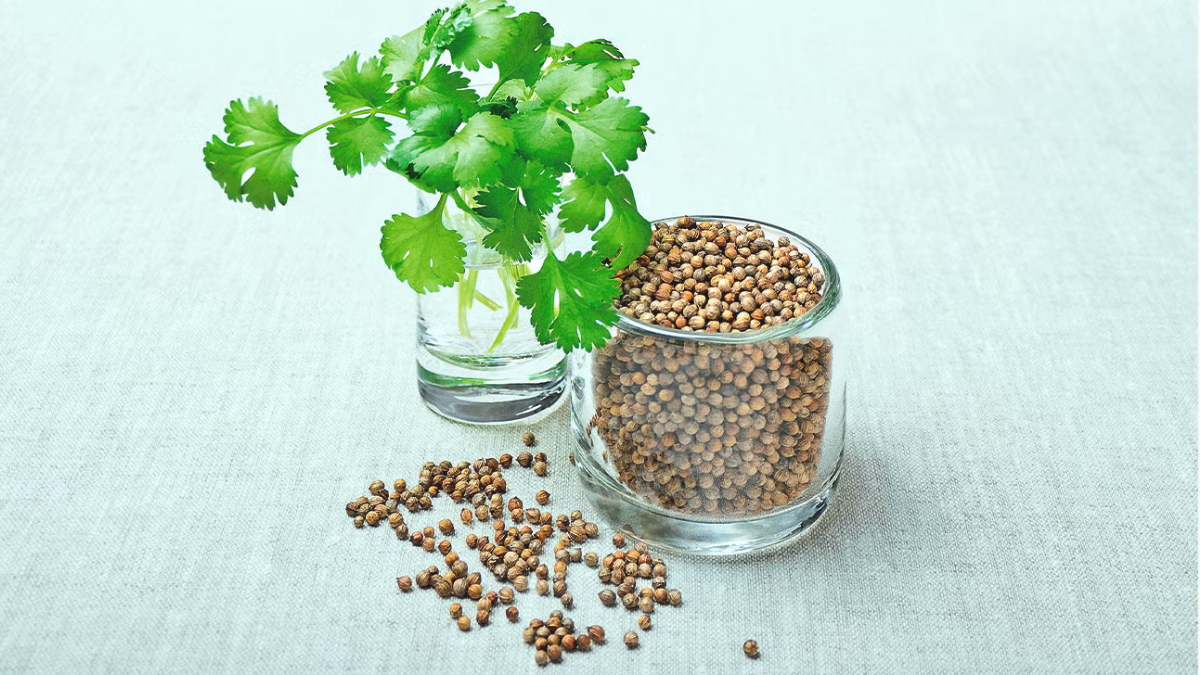 Coriander Water Benefits