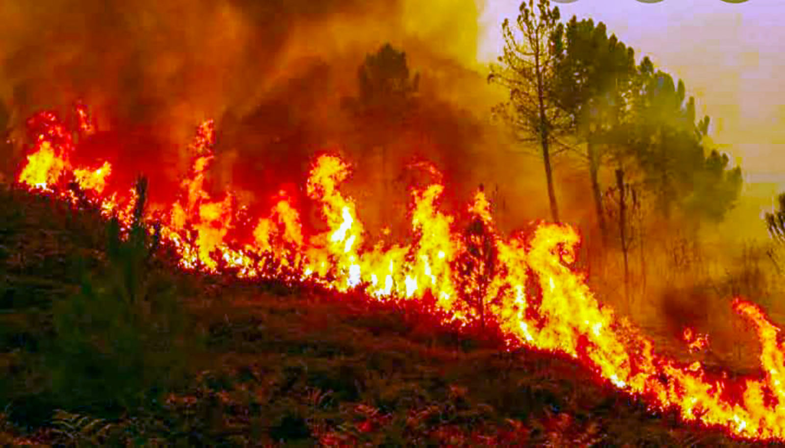 Massive Fire Breaks Out Uttarkashi Forests (source: S-M)