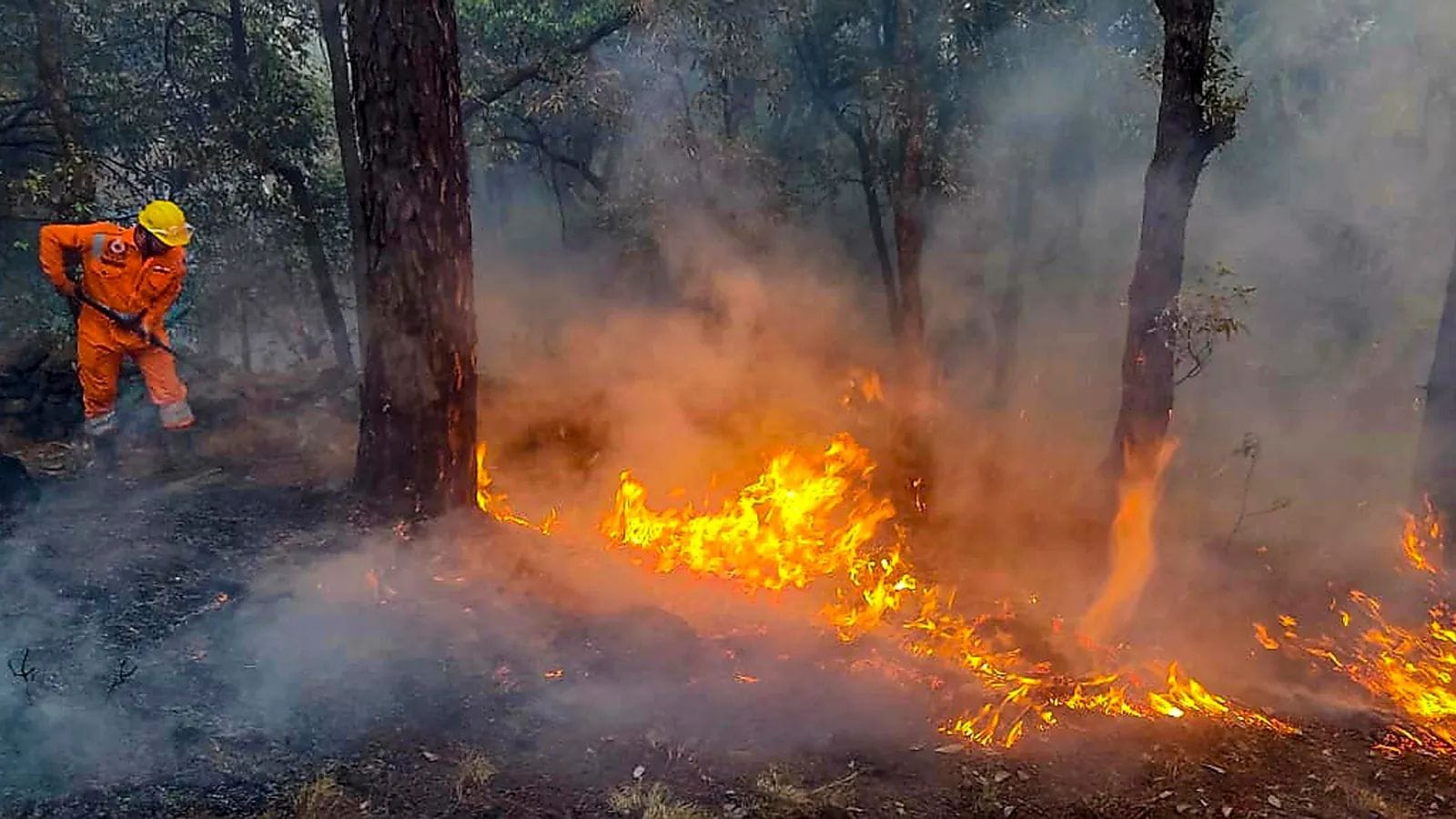Massive Fire Breaks Out Uttarkashi Forests (source: S-M)