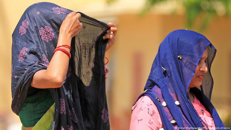 Rajasthan Order on Animal Work
